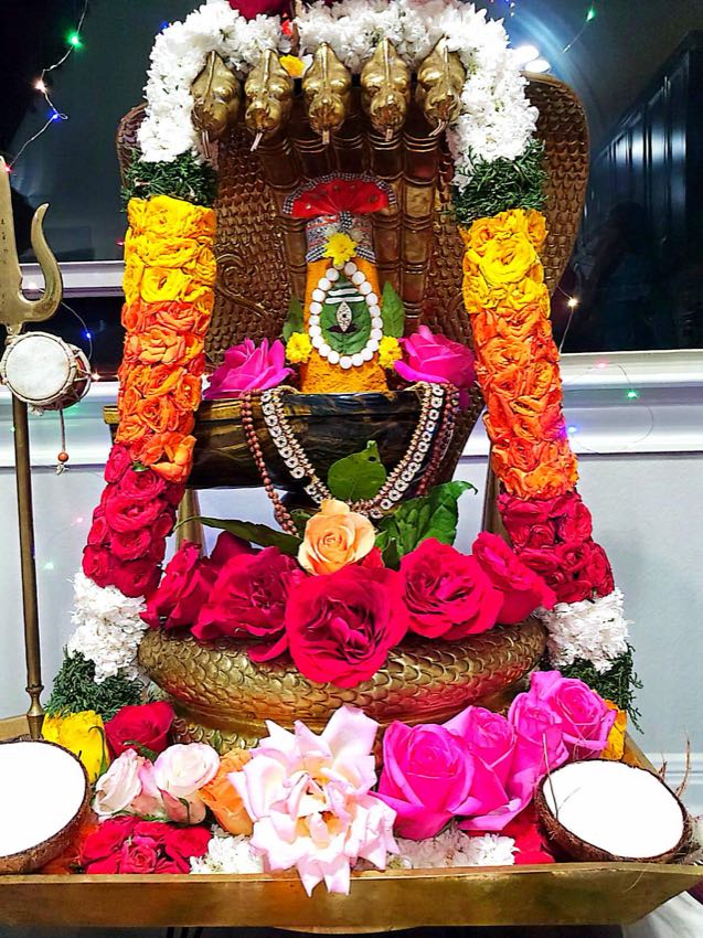 LAGHUNYASA EKAVAARA RUDRABHISHEKAM — photo 2 of 10