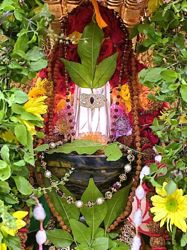 LAGHUNYASA EKAVAARA RUDRABHISHEKAM — photo 6 of 10