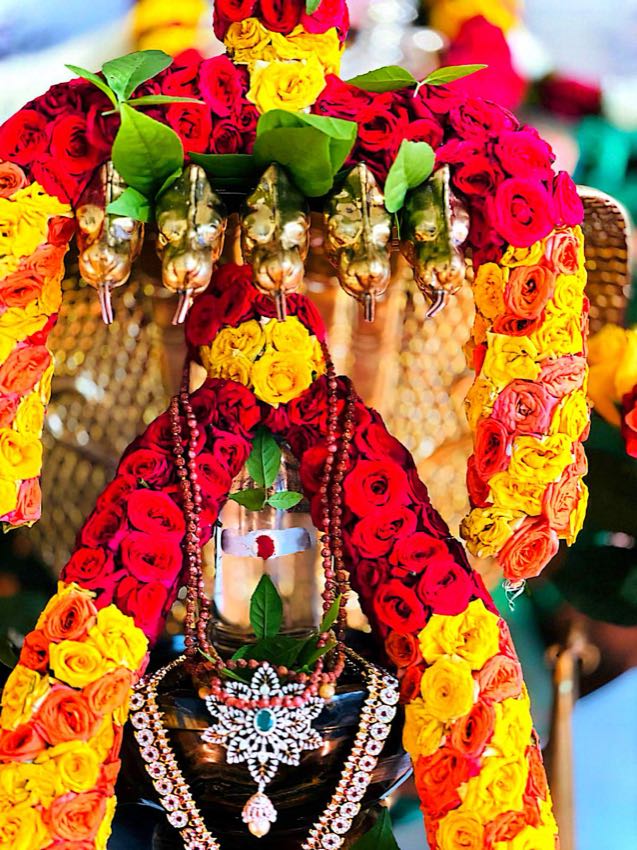 LAGHUNYASA EKAVAARA RUDRABHISHEKAM — photo 7 of 10
