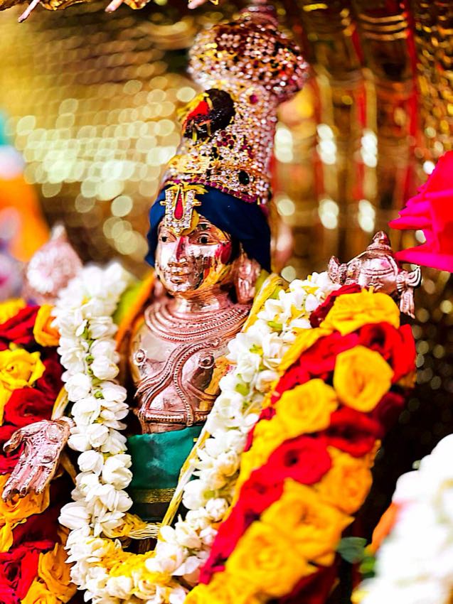 SRINIVASA KALYANAM (CELESTIAL WEDDING CEREMONY) — photo 7 of 10